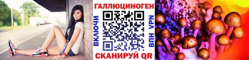 магазин    Лабинск  kraken ссылки  Галлюциногенные грибы Psilocybe 
